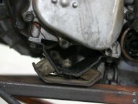 IMG 9739