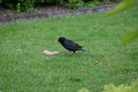 IMG_2691