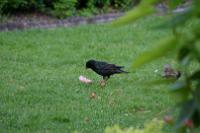 IMG_2695