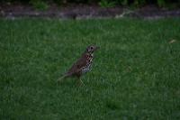 IMG_2722