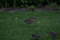 IMG_2723