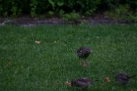IMG_2724