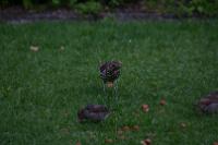 IMG_2725