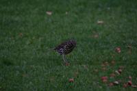 IMG_2726
