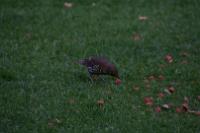 IMG_2728