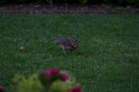 IMG_2739