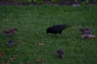 IMG_2742