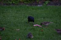 IMG_2745