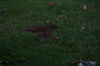 IMG_2748