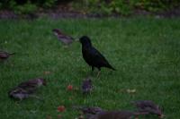 IMG_2753