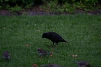 IMG_2755