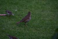 IMG_2757