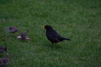 IMG_2766