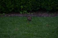 IMG_2771