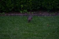 IMG_2772