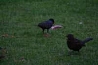 IMG_2773