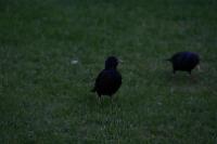 IMG_2792