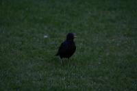 IMG_2793