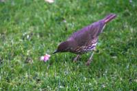 IMG_2800