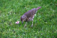 IMG_2801