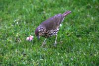 IMG_2802