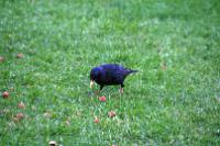 IMG_2803