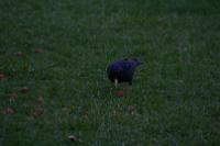 IMG_2804