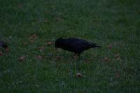 IMG_2807