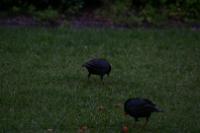 IMG_2815