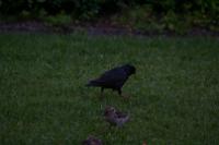 IMG_2819