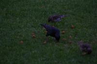 IMG_2823