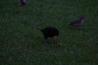 IMG_2828