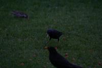 IMG_2836