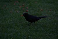 IMG_2837