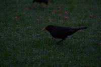 IMG_2838