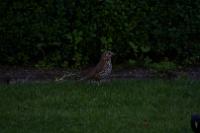 IMG_2844
