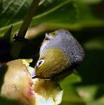 IMG_6739