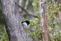 IMG_10118