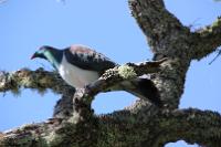 IMG_1020012
