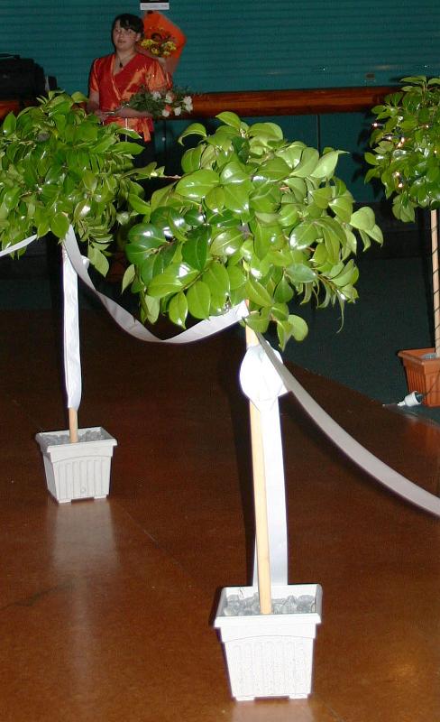 IMG 2437 crop