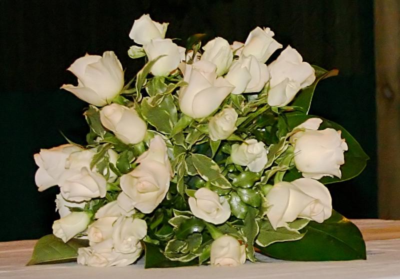IMG 8420 crop