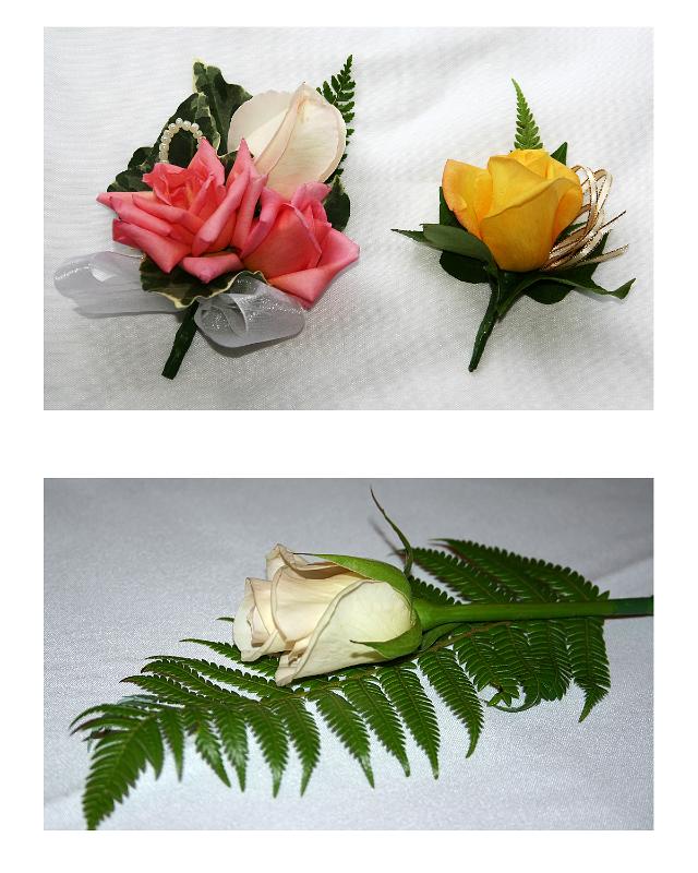 flowers6
