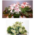 flowers4