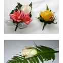 flowers6