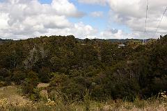 CRW_11296
