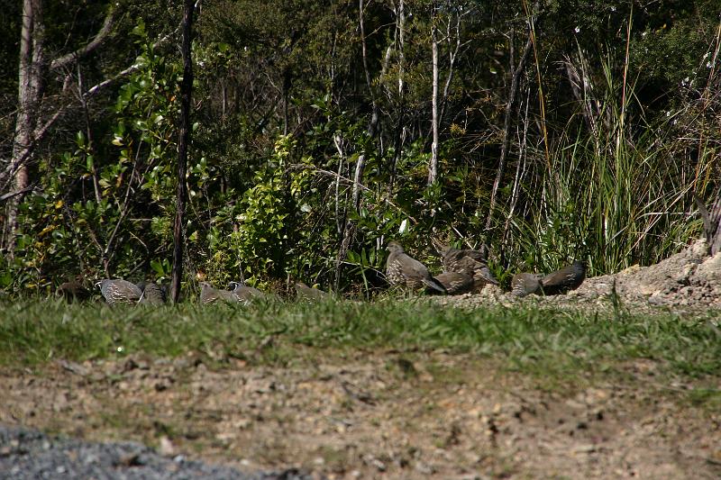 IMG_14451