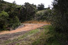 CRW_11426