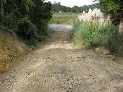 IMG_0229