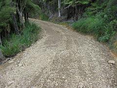 IMG_0232