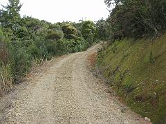 IMG_0234